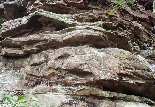 Sandstone outcrop